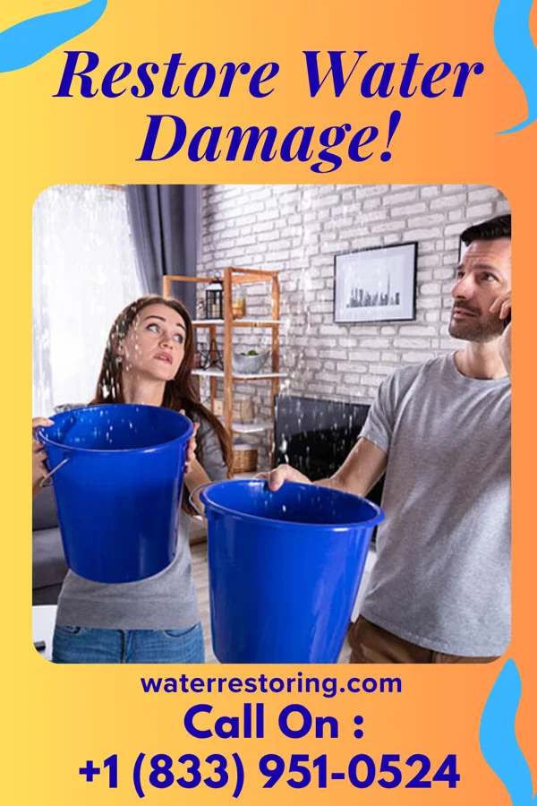 water restoration Ideal Disaster Recovery Group Hickory Hills