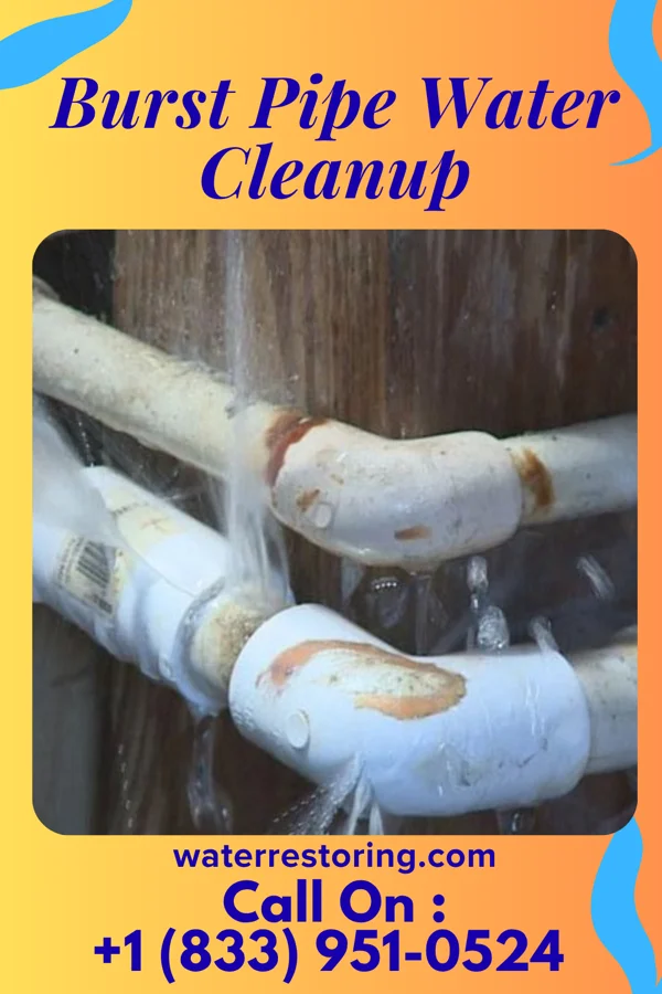 Burst Pipe Water Cleanup in Hickory Hills, IL