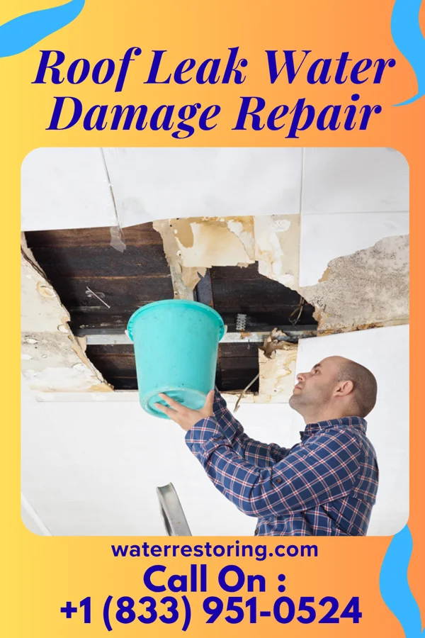 Roof Leak Water Damage Repair in Hickory Hills, IL