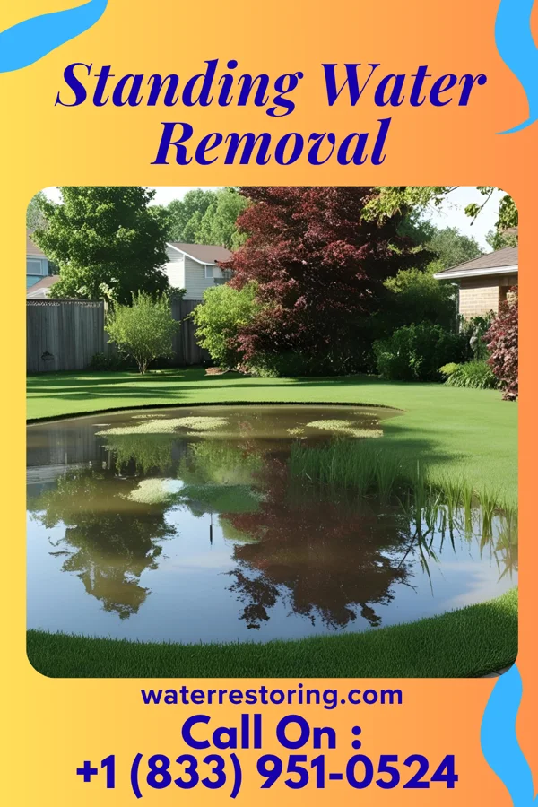 Standing Water Removal in Hickory Hills, IL